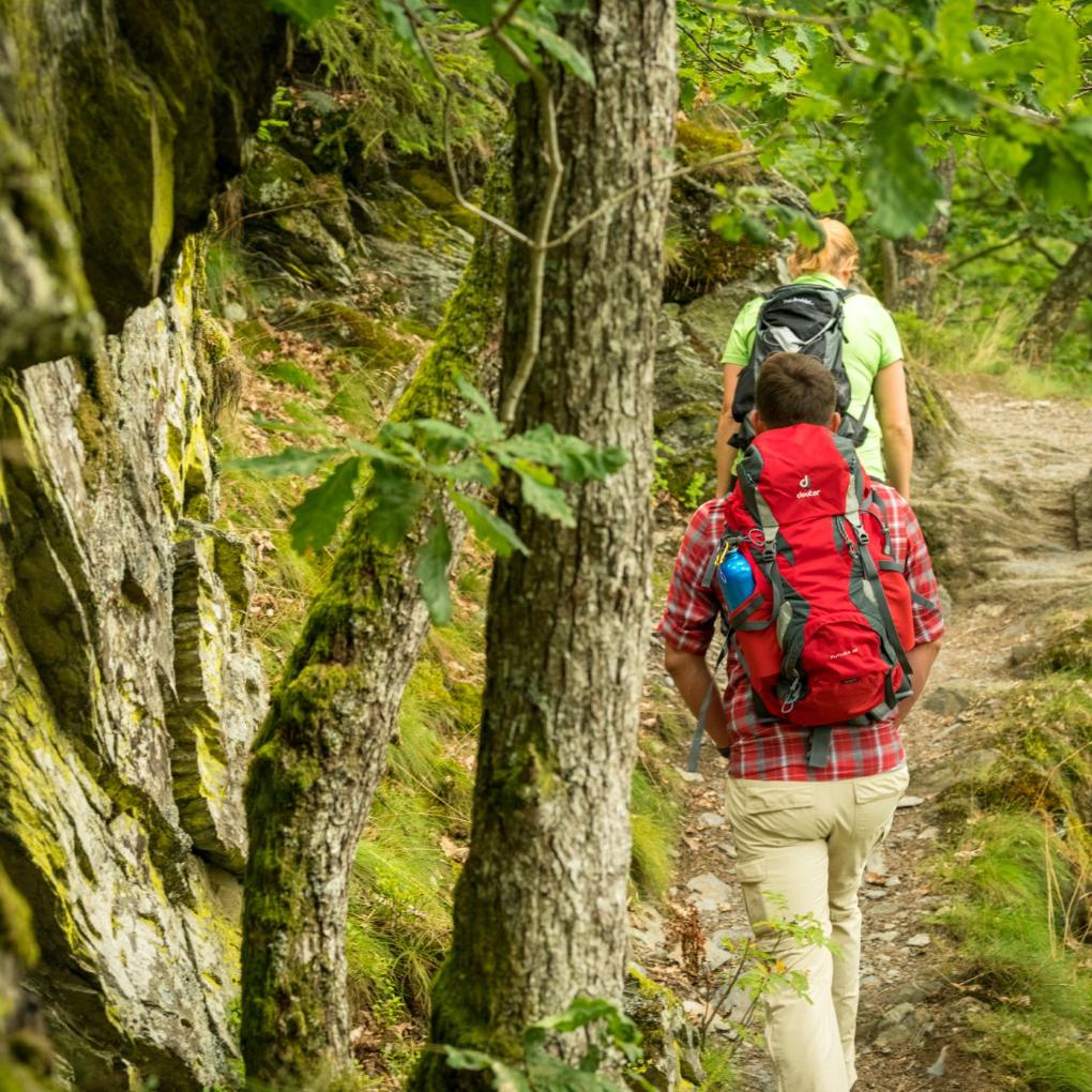 Unterwegs auf dem „Schöpfungspfad“: Der Weg führt vorbei an Schieferhöhlen und Bächen, über die Dreiborner Hochfläche und durch naturbelassene Buchenwälder.