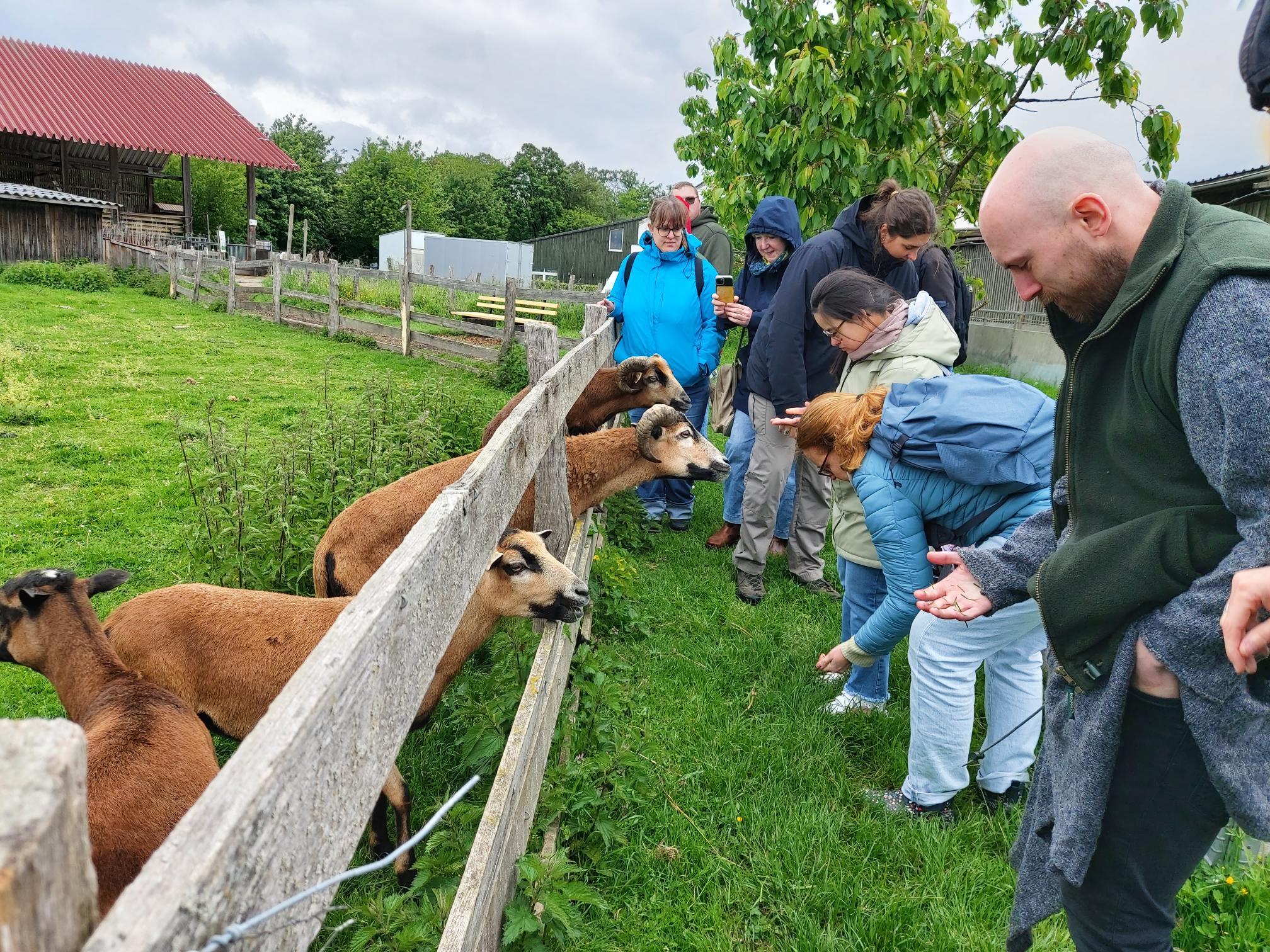 260512_Hof-und-Herd_KLEIN-6.jpg_328308039