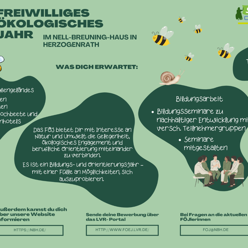 Flyer Föj Querformat