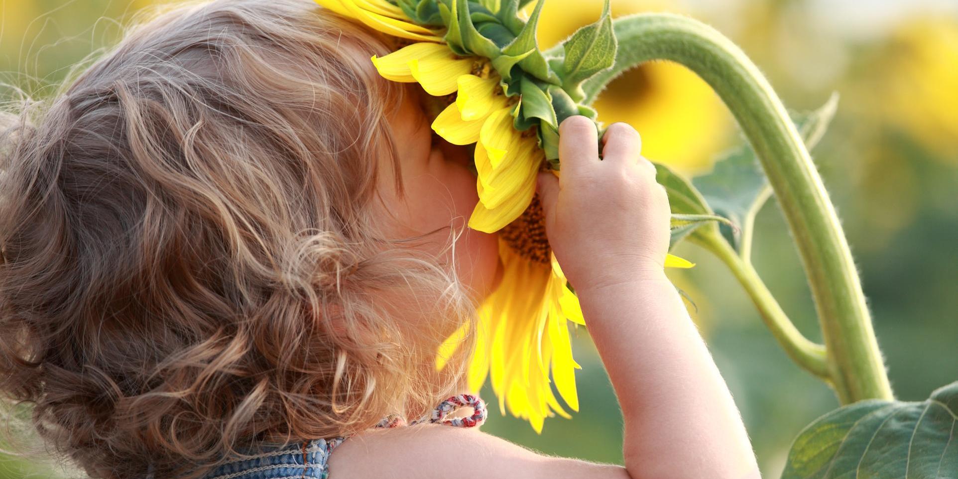 Fotolia_29248085_L