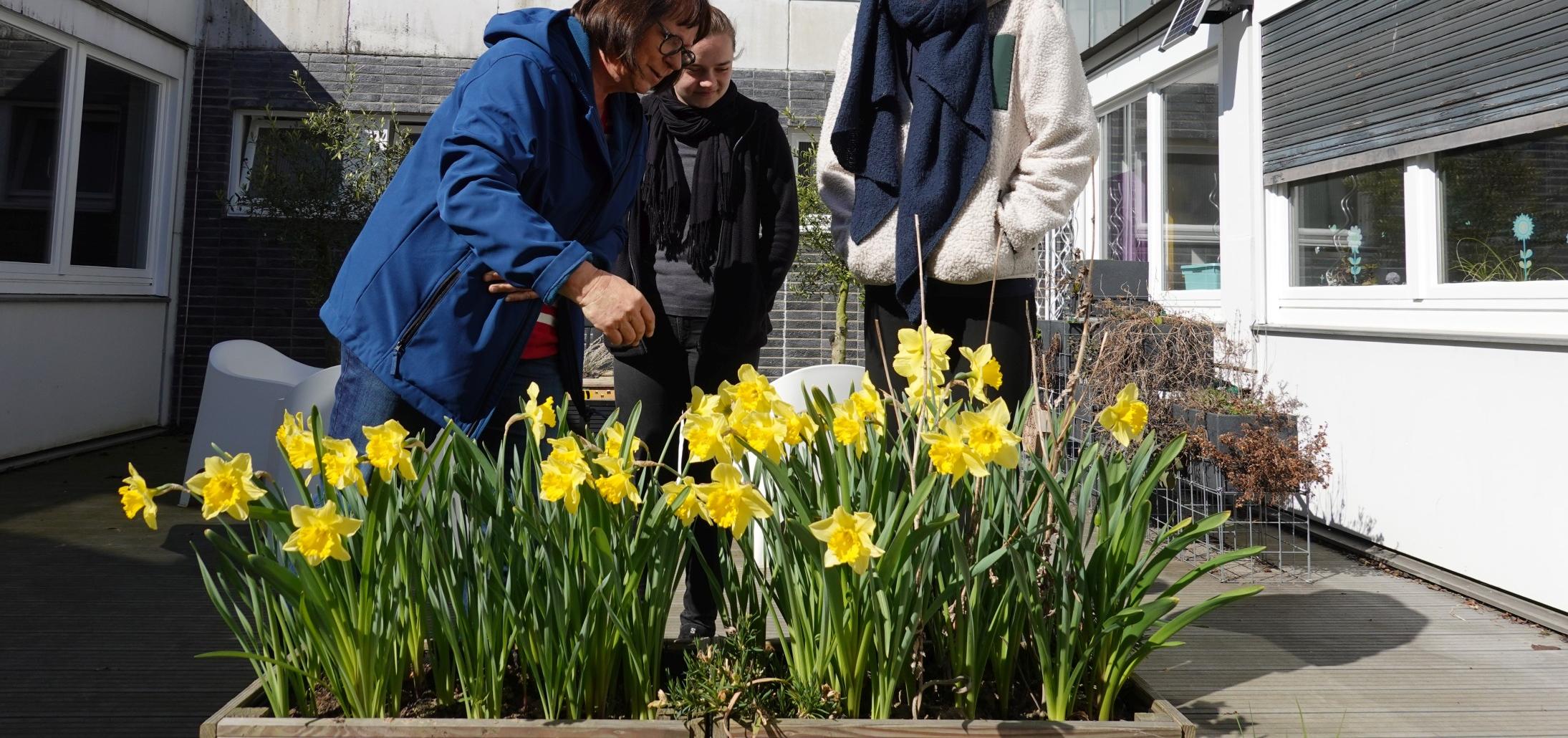 Eva Bongartz, Svenja Wahle und Helena Walde begutachten die Frühlingsblumen im Aquarium, dem Innenhof zwischen Kantine und Büros.