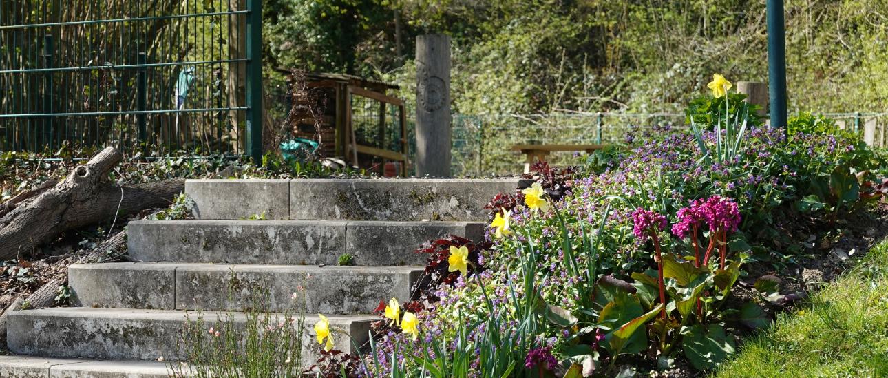 Im Außengelände blüht es reichlich, zum Beispiel beim Aufgang zum früheren Volleyballfeld.