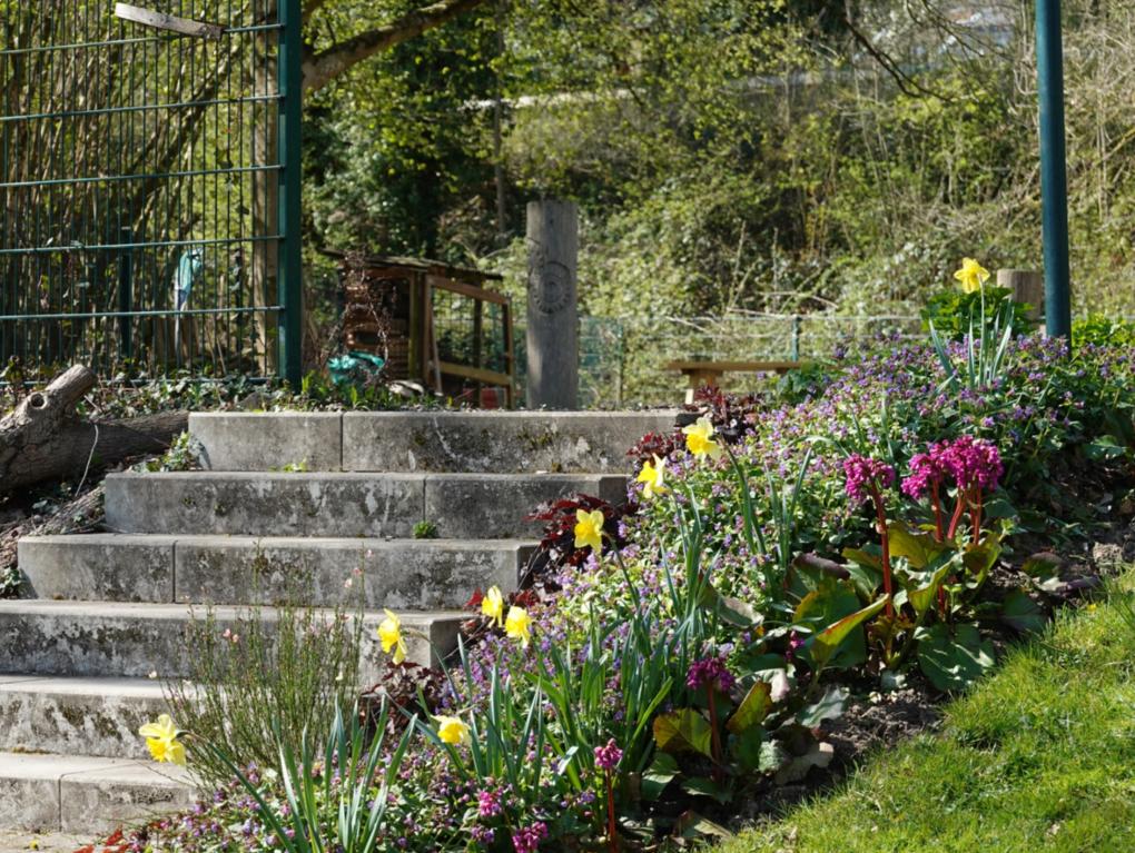 Im Außengelände blüht es reichlich, zum Beispiel beim Aufgang zum früheren Volleyballfeld.