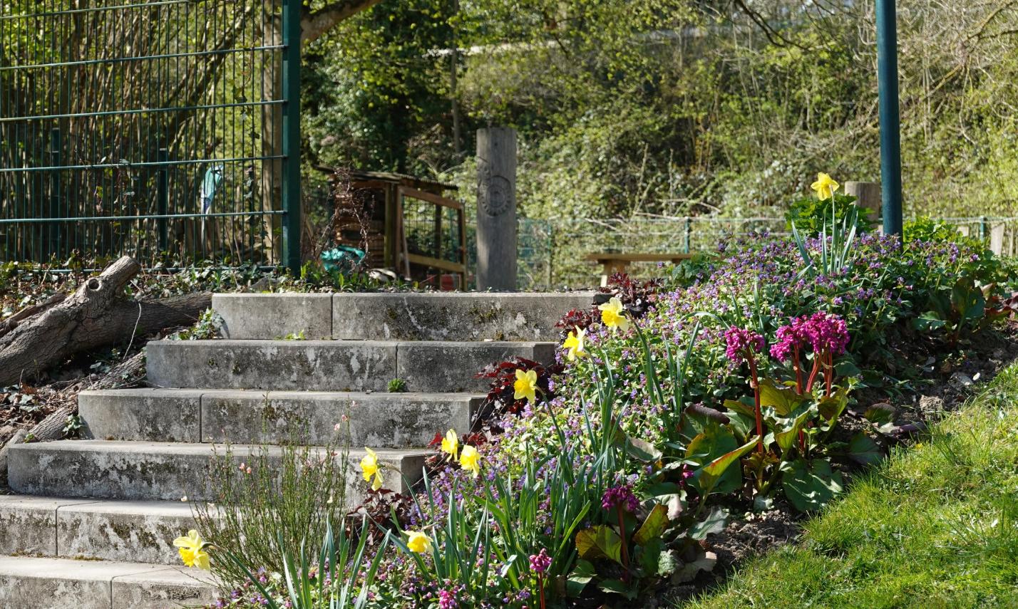 Im Außengelände blüht es reichlich, zum Beispiel beim Aufgang zum früheren Volleyballfeld.