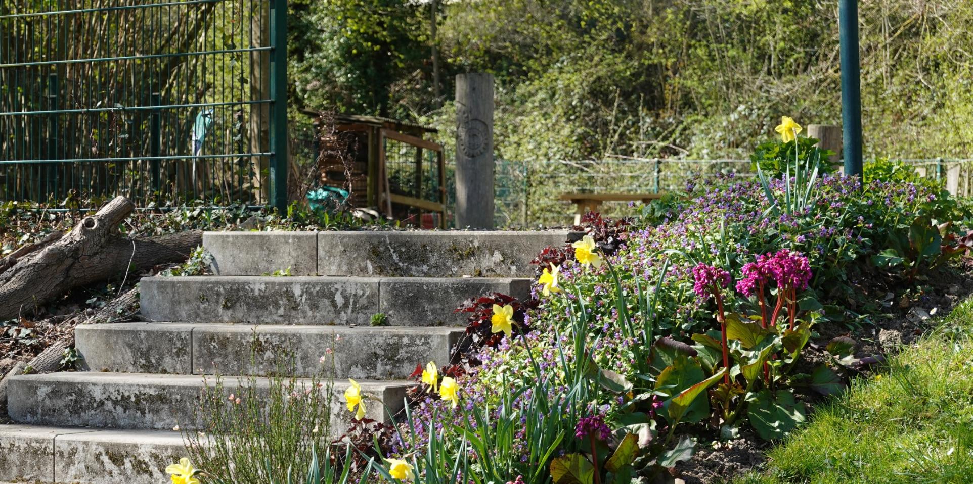 Im Außengelände blüht es reichlich, zum Beispiel beim Aufgang zum früheren Volleyballfeld.