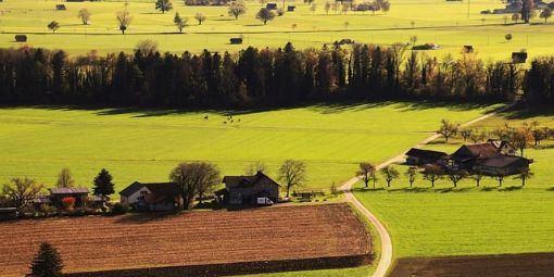 fields-7576727_640(1)