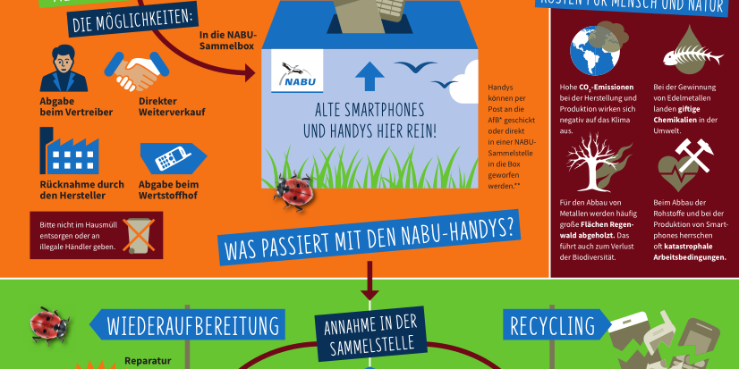 Infoblatt zur Aktion