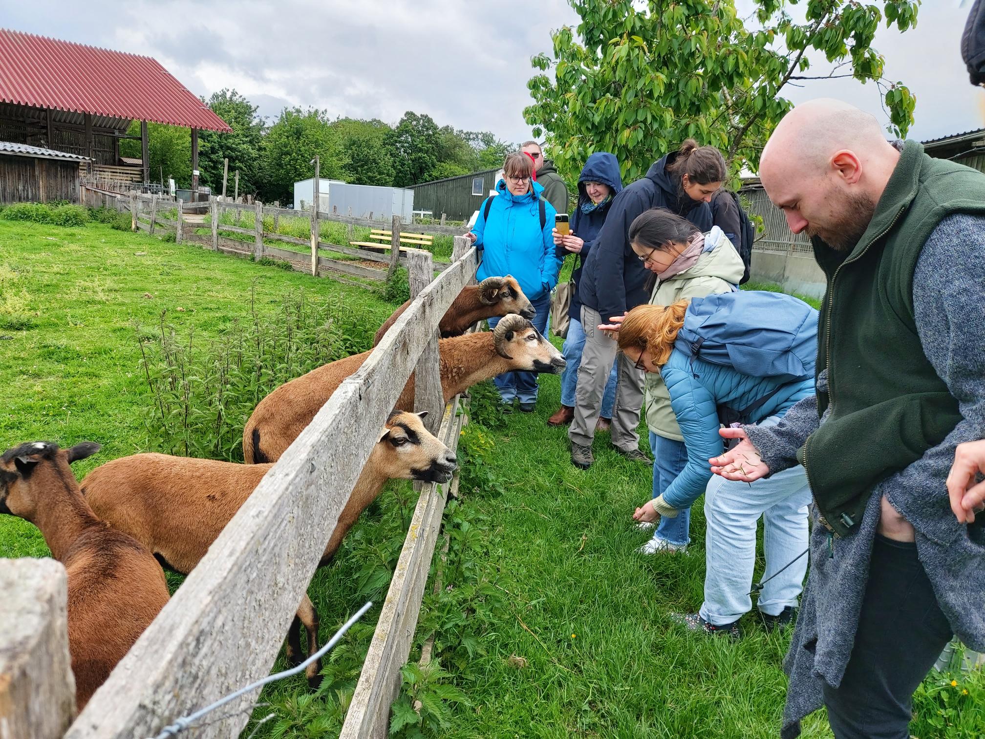 Tiere auf dem Bauernhof