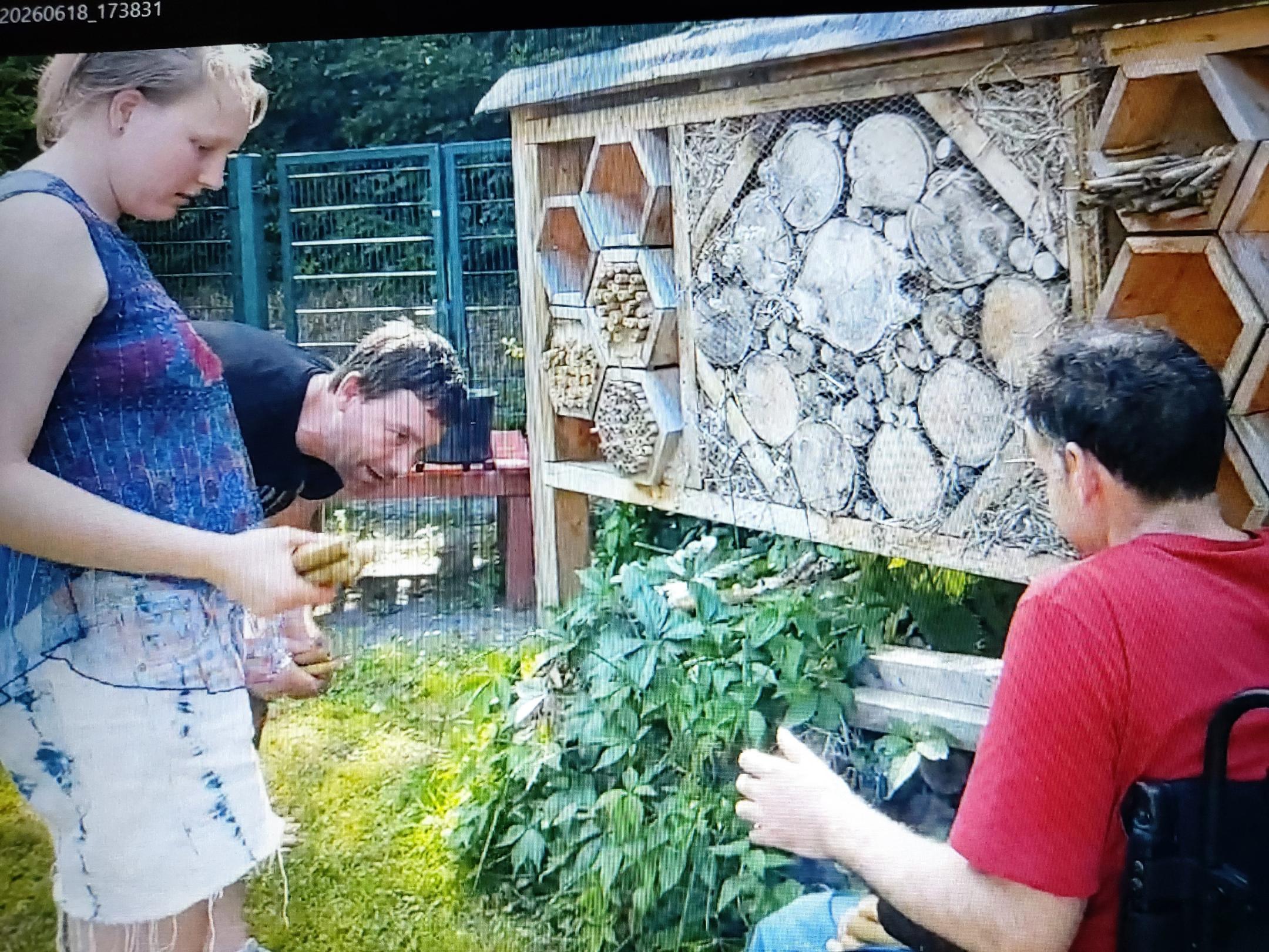 Weiterbau des Insektenhotels