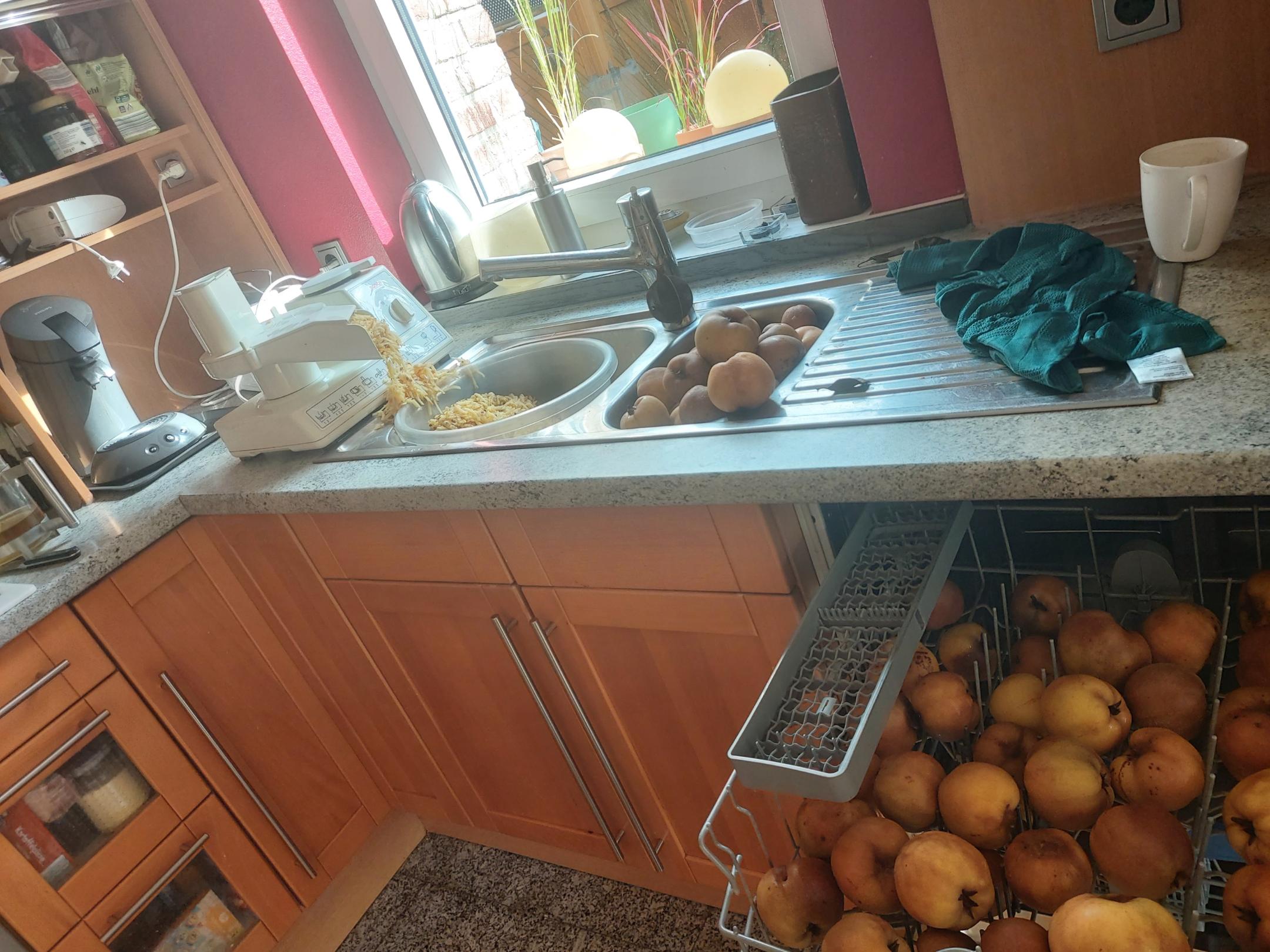 Spülmaschine und Reibe