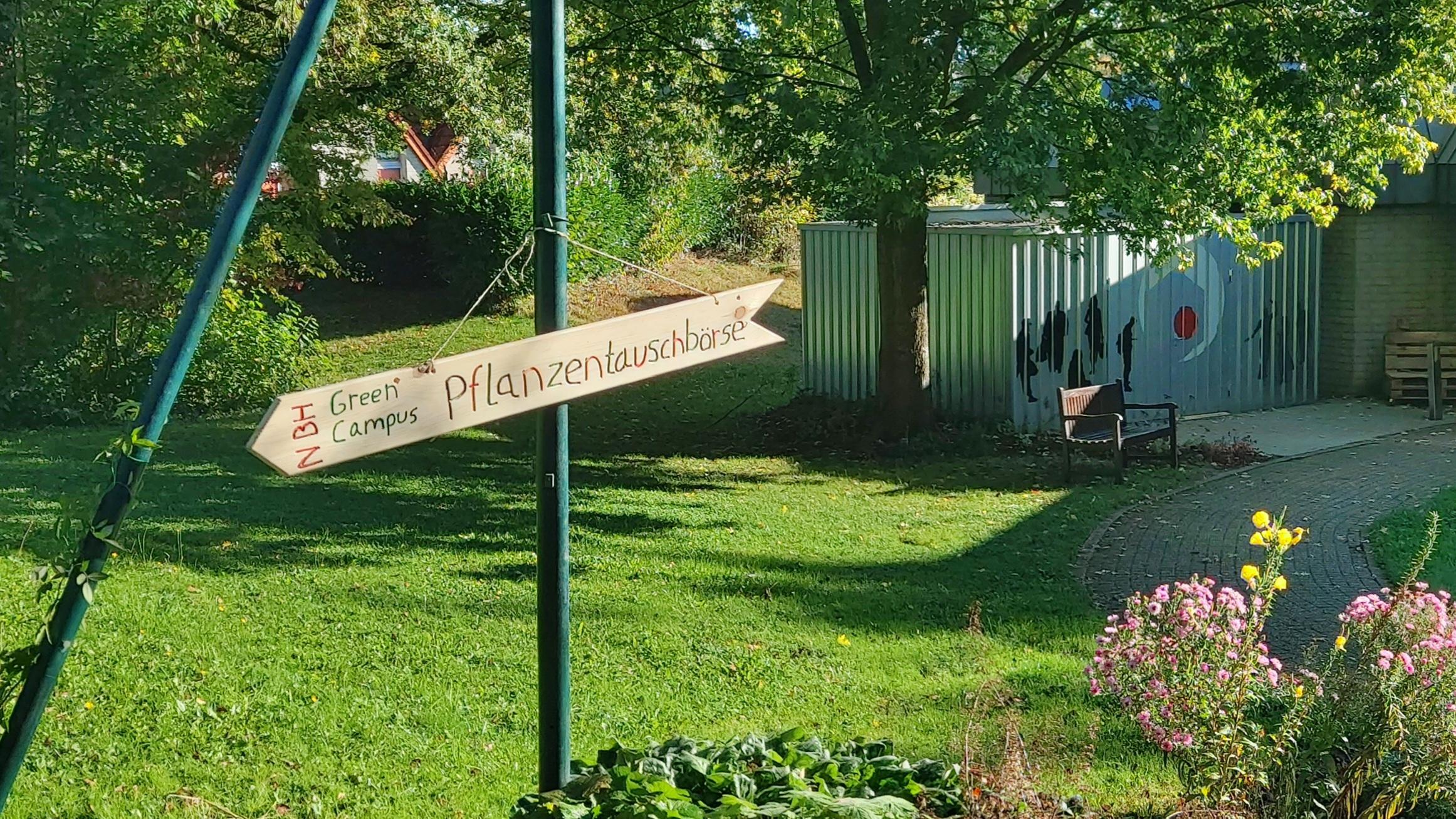 immer im Frühling und Herbst