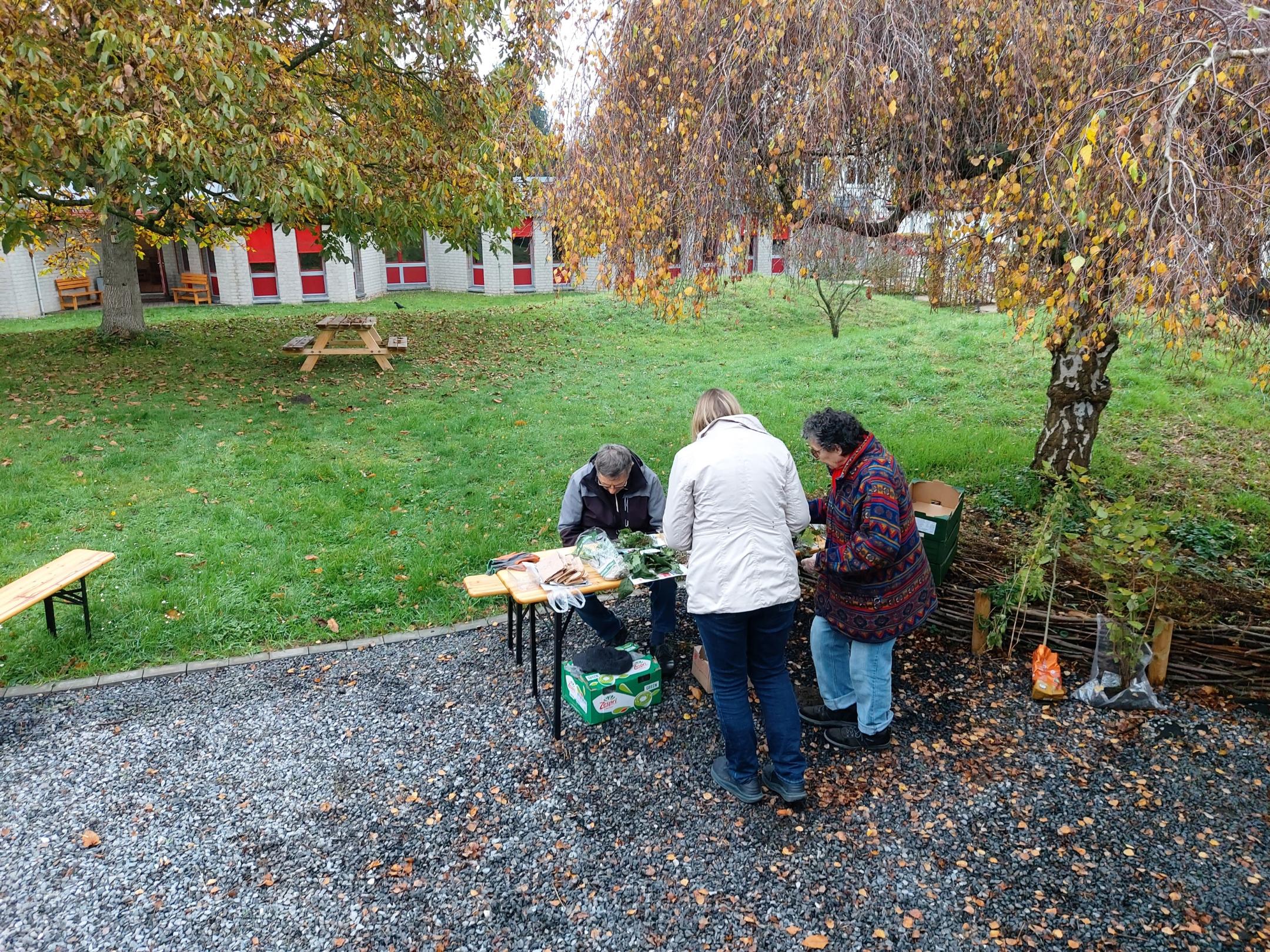 251109 pflanzentauschbörse