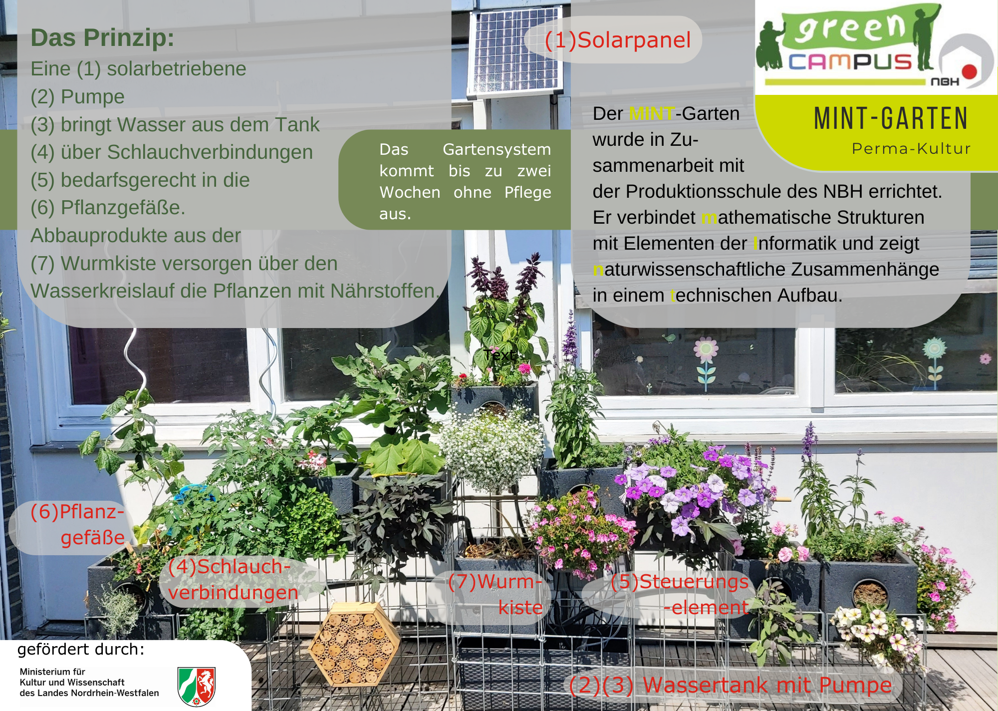 MINT-Garten Erklärung