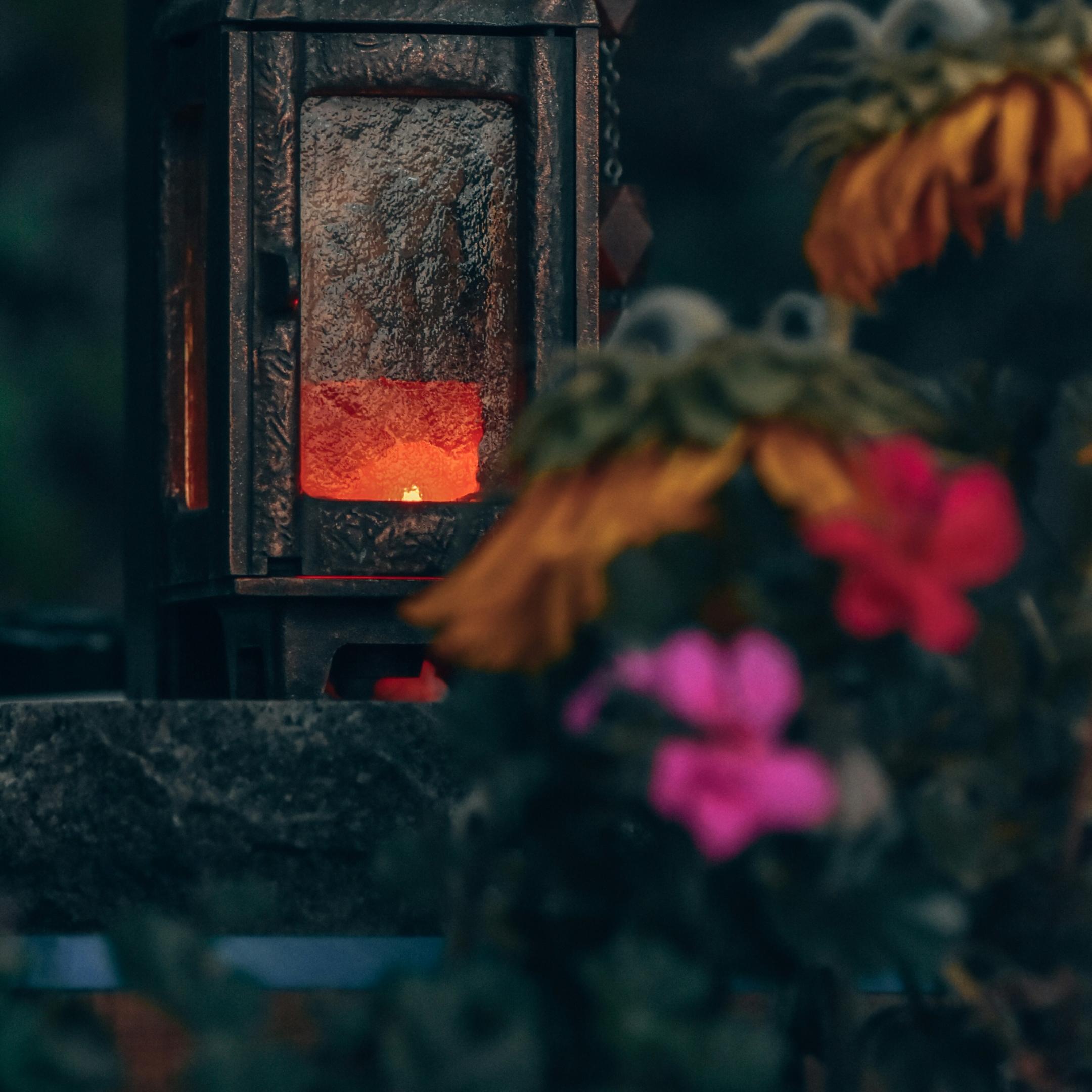 Blumen am Grab